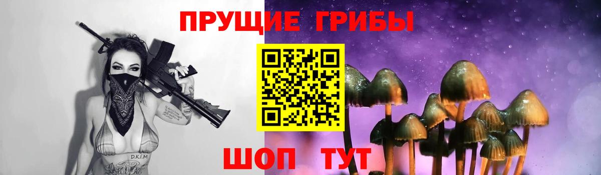 Псилоцибиновые грибы мицелий Новоуральск